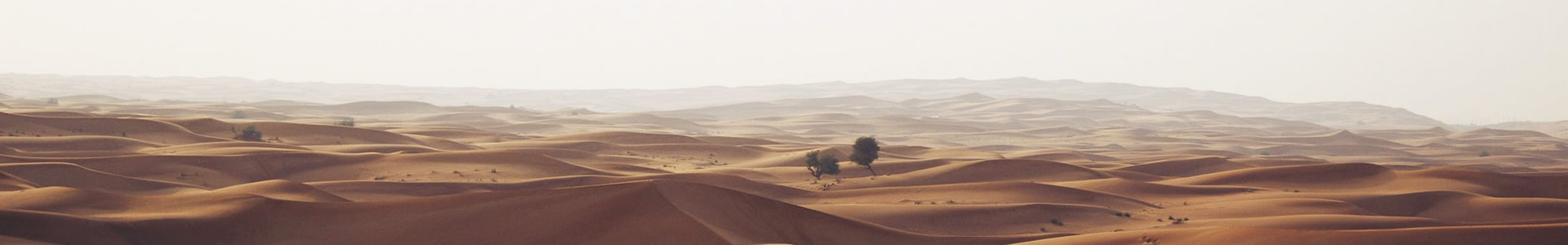 ϺеӿƼ޹˾